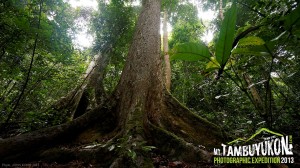 Mount Tambuyukon Expedition  